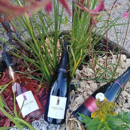 Alojamento de Turismo Selvagem L'echappee Belle En Champagne