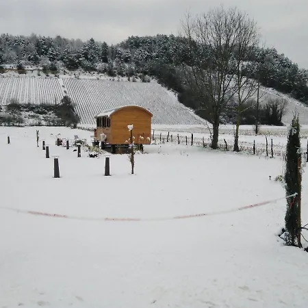 L'echappee Belle En Champagne