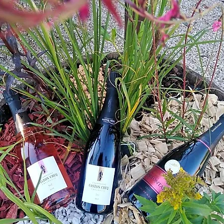 L'echappee Belle En Champagne * Spoy (Aube)