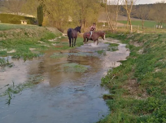 L'echappee Belle En Champagne
